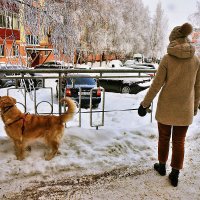 Эй,хозяйка ,не хочу с тобой гулять! :: Владимир 