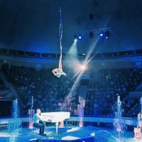 Цирковая гимнастика :: Андрей Хлопонин