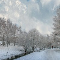 В зимнем парке. :: Aleksey Afonin