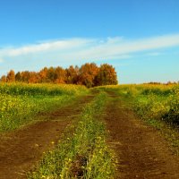 Цветущая наша осень. :: nadyasilyuk Вознюк