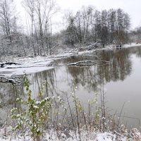 В зимнем лесу у озера :: "The Natural World" Александер