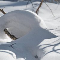 НУ ТЫ И КРЕНДЕЛЬ :: Юрий Вовк