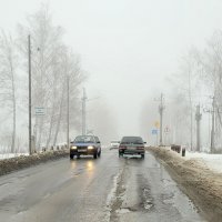 Зима туманная (конец января) :: Татьяна 