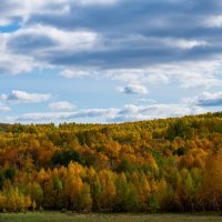 Краски осени :: Петр 