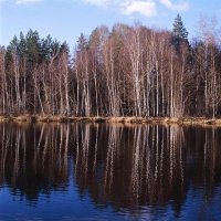 Апрельский пейзаж :: Сергей Курников