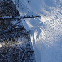 На лыжной прогулке :: Павел Трунцев