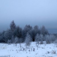 Зима (цветное фото) :: Oleg S