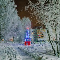 В ухтинском дворе. Пример того, как иней делает все вокруг волшебнее) :: Николай Зиновьев