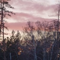 Зимнее небо на закате :: Raduzka (Надежда Веркина)