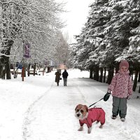 Зима на аллеях парка Соловьи :: Евгений 