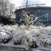 В  Симферополе зима   была .... :: Валентин Семчишин