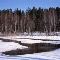 Весна света :: Сергей Курников