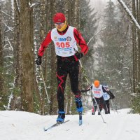 Лыжные гонки. :: Евгений Седов