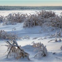 Холодный день. :: Валентин Кузьмин