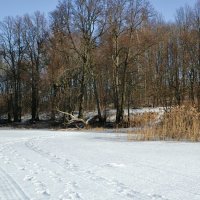 Февраль на Смоленщине (репортаж из поездок по области). :: Милешкин Владимир Алексеевич 