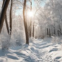 Зимний лес :: Aleksey Afonin