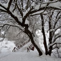 зимними тропами :: Валентина. .