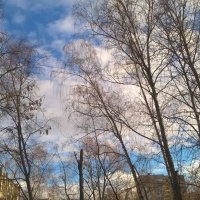 Февральское небо :: Елена Семигина