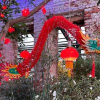 Китайский Новый год стартовал в "Аптекарском огороде" :: Ольга Довженко