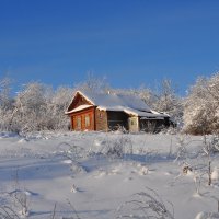 Домик в деревне. :: Михаил Колосов 