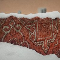зимний этюд с ковром :: Любовь 