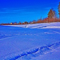 Февраль...Голубые снега в пойме протоки Чеускина. :: Владимир 