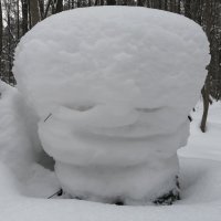 SELFEMADE SNOWMAN :: Юрий Вовк