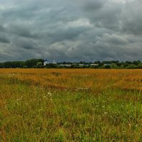 Боголюбовский луг. :: Анатолий Борисов