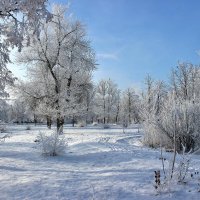 В старом парке. :: Восковых Анна Васильевна 