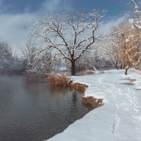 Прогулка по снежному острову. :: Анатолий Щербак