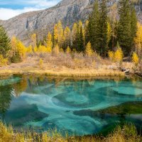 Озерцо с голубыми гейзерами - непонятное чудо природы.. :: Алёна Бриц
