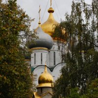 Новодевичий монастырь :: Марина Медникова 