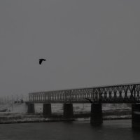 мост на Иртыше :: Олеся 