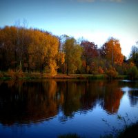 Осенний пейзаж :: Екатерина Миронова