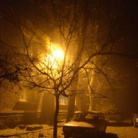 Туман...вечер...свет :: Александр Коварский