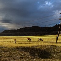 Неспешность.Подлинность :: Евгения Вишнякова