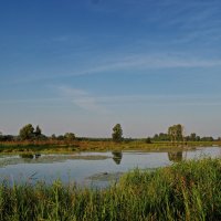 Утро на озере. :: Владимир Михайлович Дадочкин