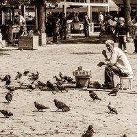 Pigeon mood :: Наташа Шахова