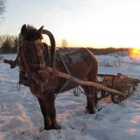 &quot;мороз и солнце, день чудесный..&quot;) :: Регина Богомолова