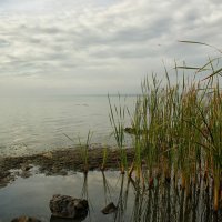 Смотрят в воду облака :: Олег Сонин