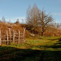 Осеннее утро :: Тамара Цилиакус