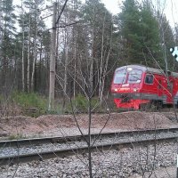 Опять от меня сбежала последняя электричка :: Елена Ветка