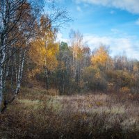 Краски осени :: Андрей Гусев