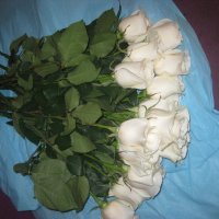 Белые розы :: Валентина 