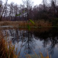 Отражение :: Владимир Нев