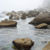Утренний туман на море, берег моря :: Виктор Алеветдинов