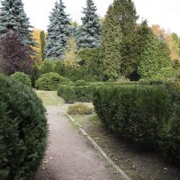Старый парк :: Евгений Челноков
