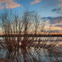 по уши в воде :: Александра Лазукова