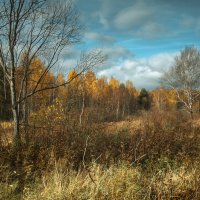 Осенний пейзаж :: Андрей Гусев