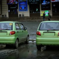 Она и Он. :: елена юлашева